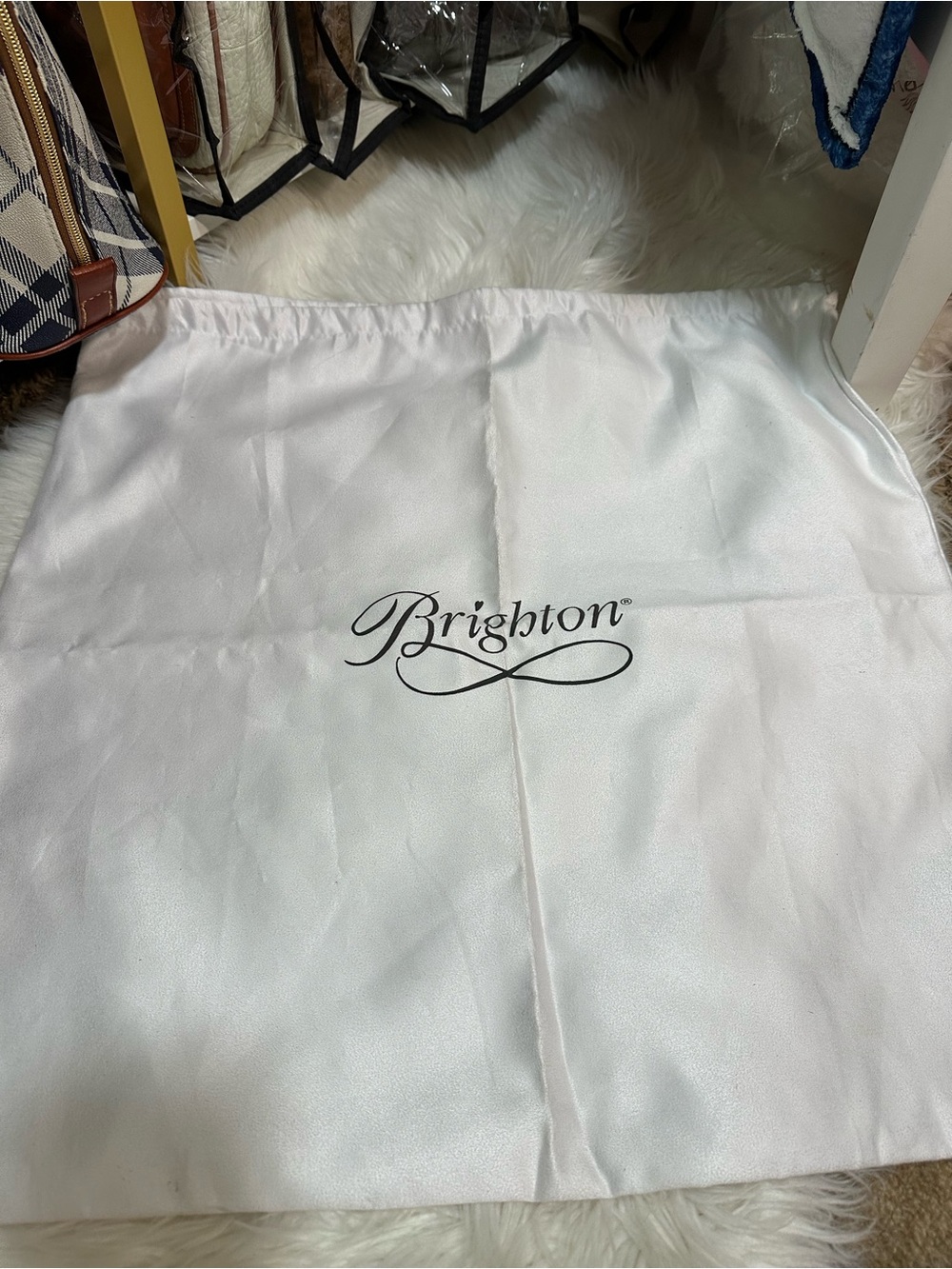 Brighton White Storage Dust Bag 20x20